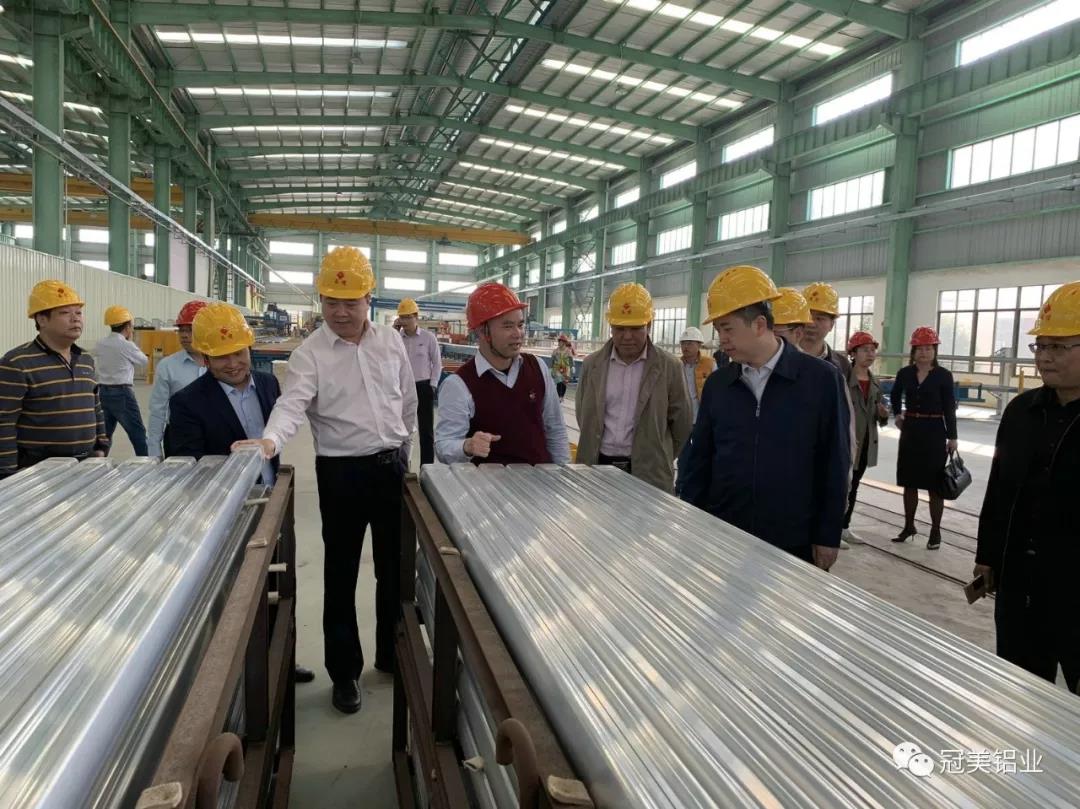 市委黄晨光书记莅临我公司视察指导工作